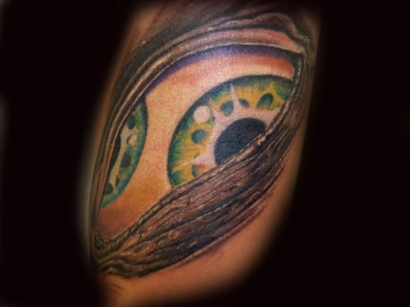 The Tool Eye