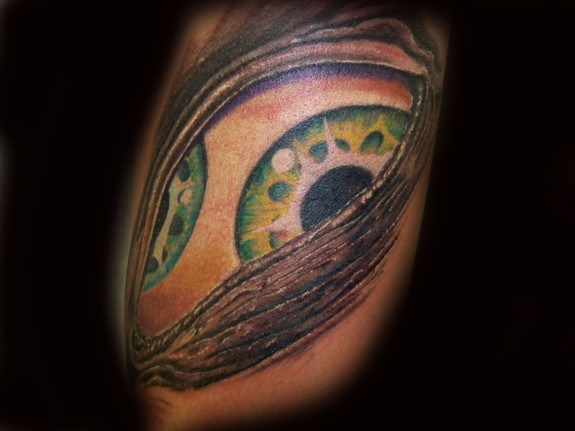 The Tool Eye