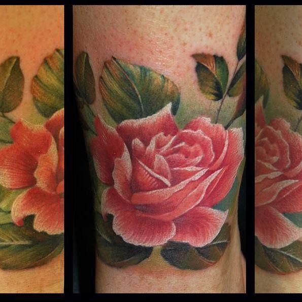 Rose