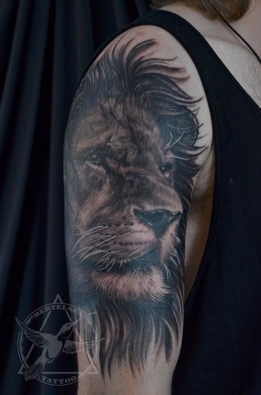 Black&Grey Lion Portrait