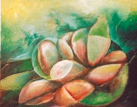 Magnolia
