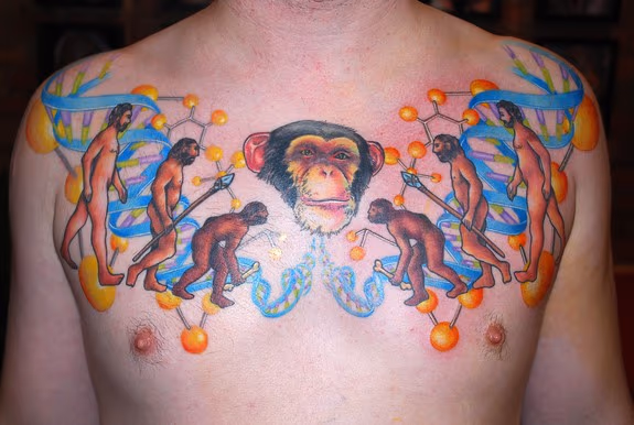 Involution