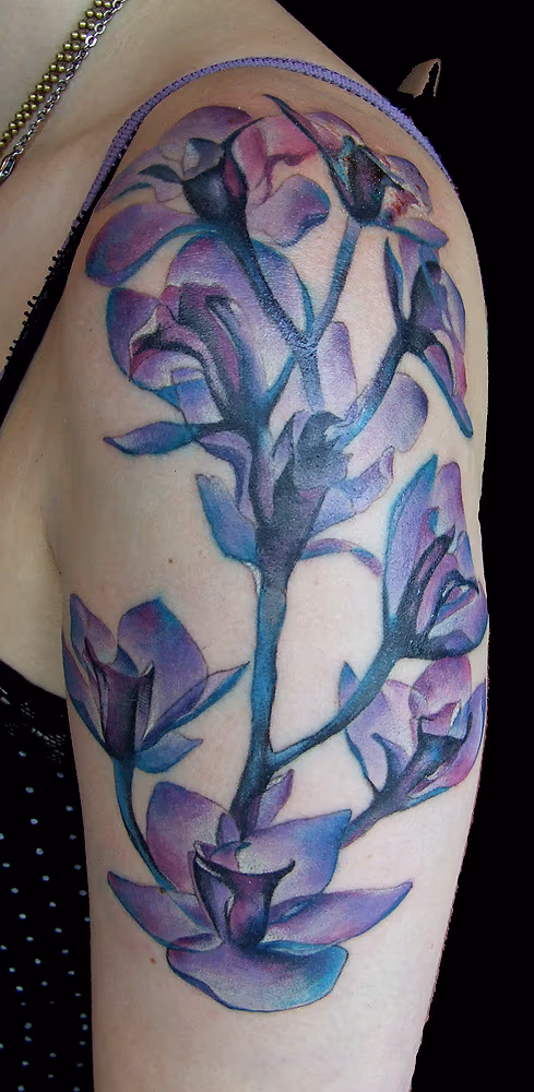 X-Ray orchids