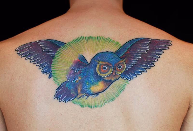 Owl