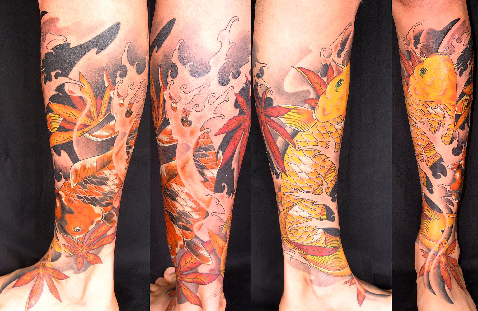 Two koi fish