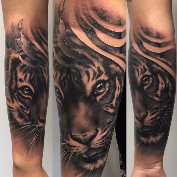 Tiger