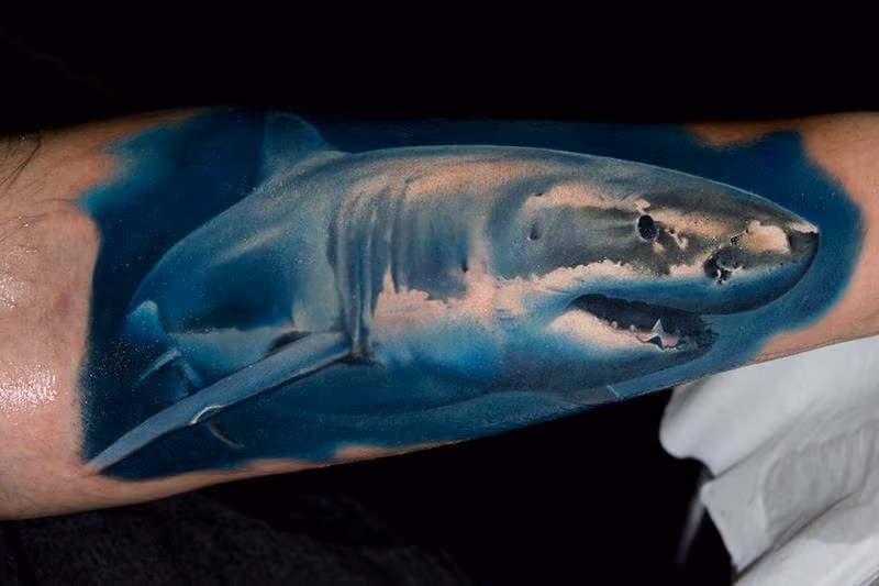 Realistic Shark Tattoo