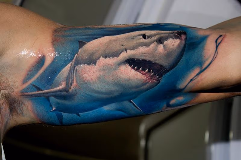 Realistic Shark Tattoo