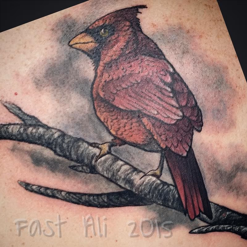 Rocco's Cardinal. For Dad.