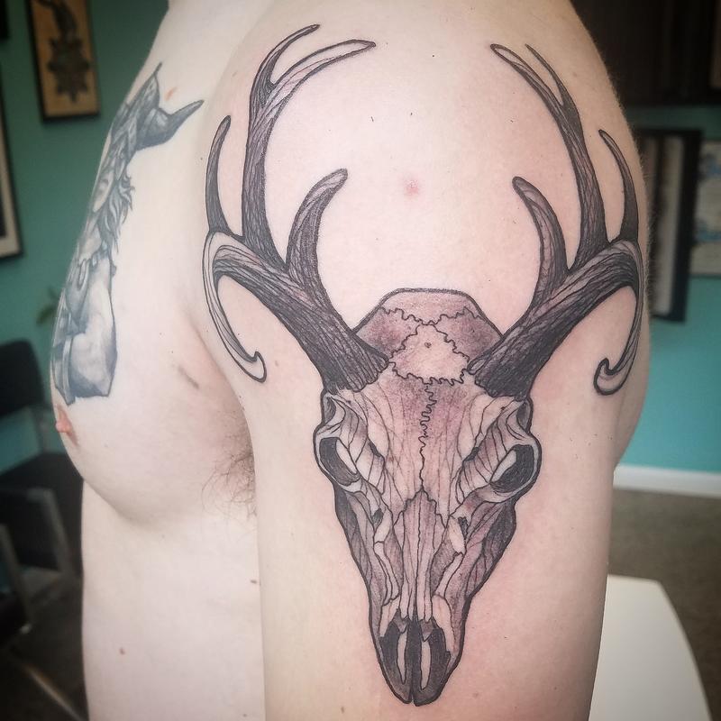 Mike's Deer skull