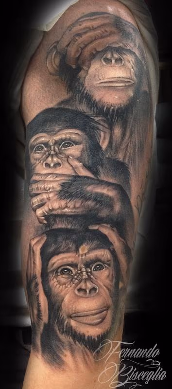 3 monkeys - not see, not speak,not hear