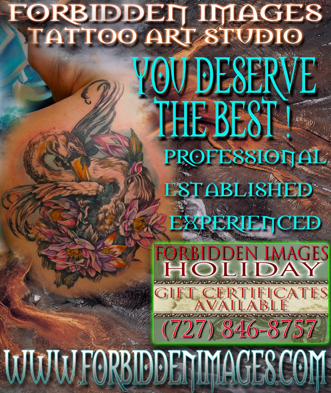 PROFESSIONAL, ESTABLISHED & EXPERIENCED
