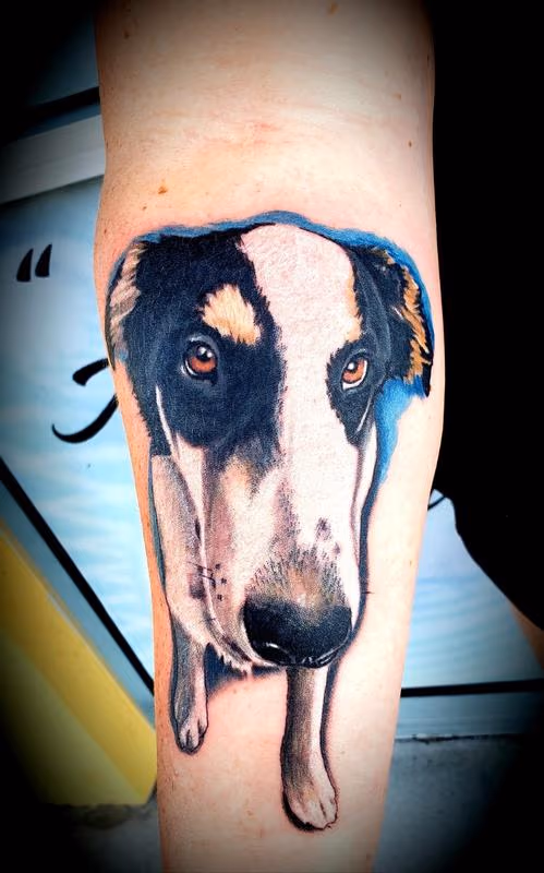 Pooch