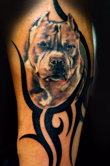 TRIBAL PIT !