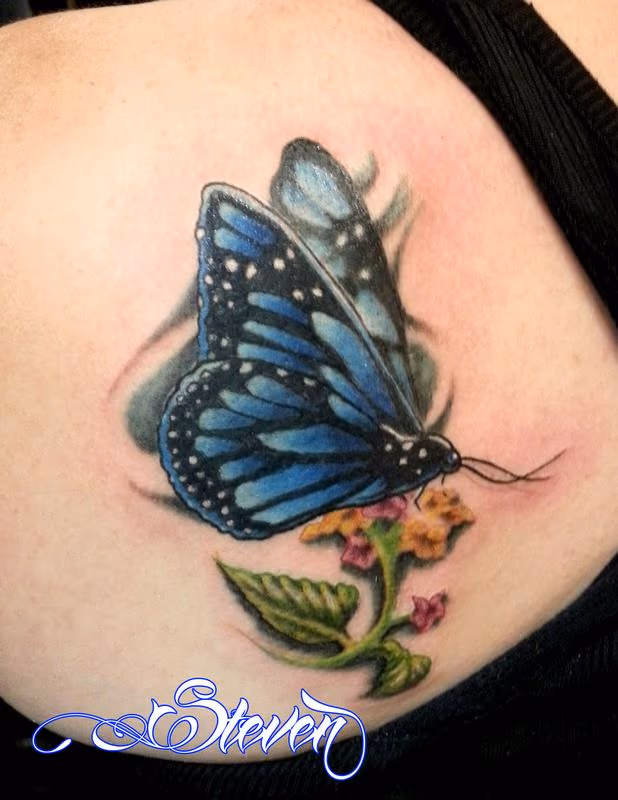 Butterfly