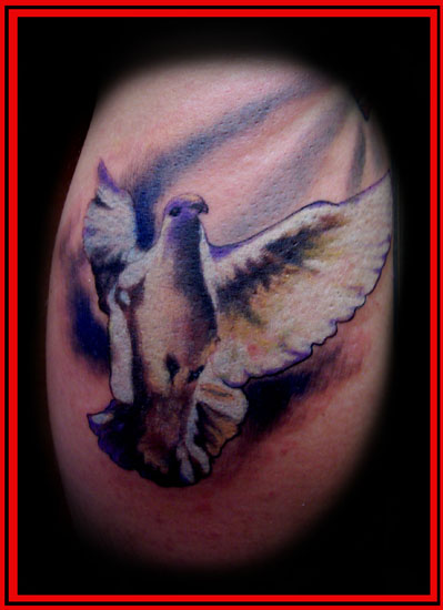 PEACE DOVE !!!