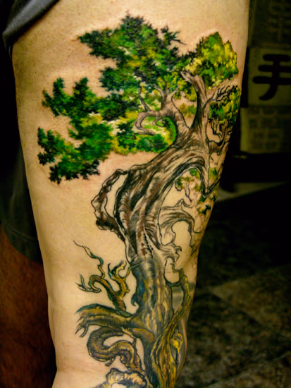 TREE of LIFE in progress!