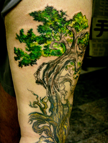 TREE of LIFE in progress!