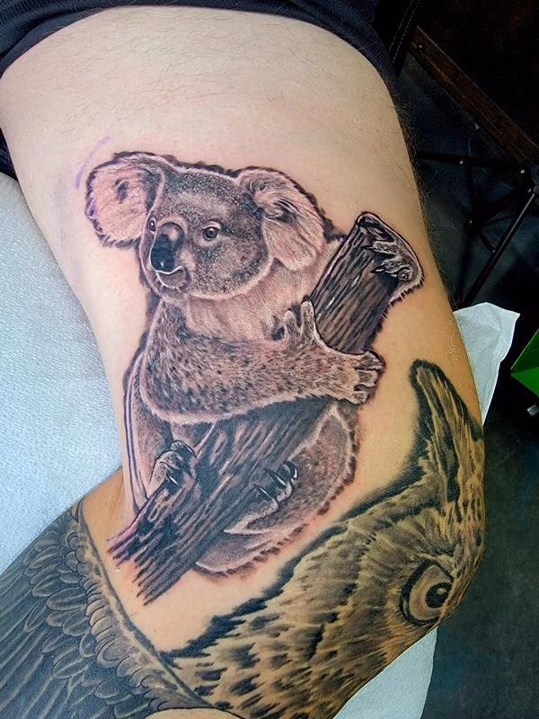 Koalaesque!!