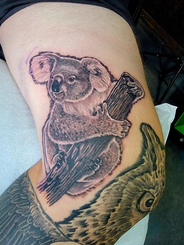 Koalaesque!!