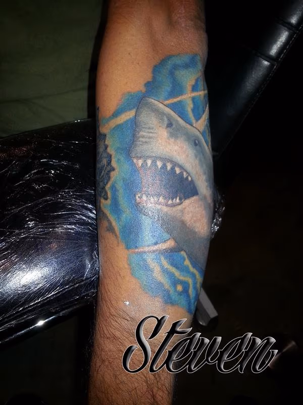 Shark attack