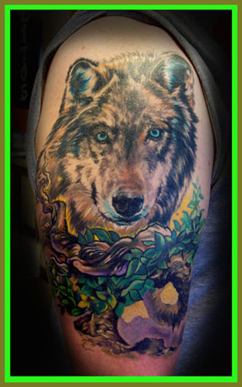 WOLF STARE !!