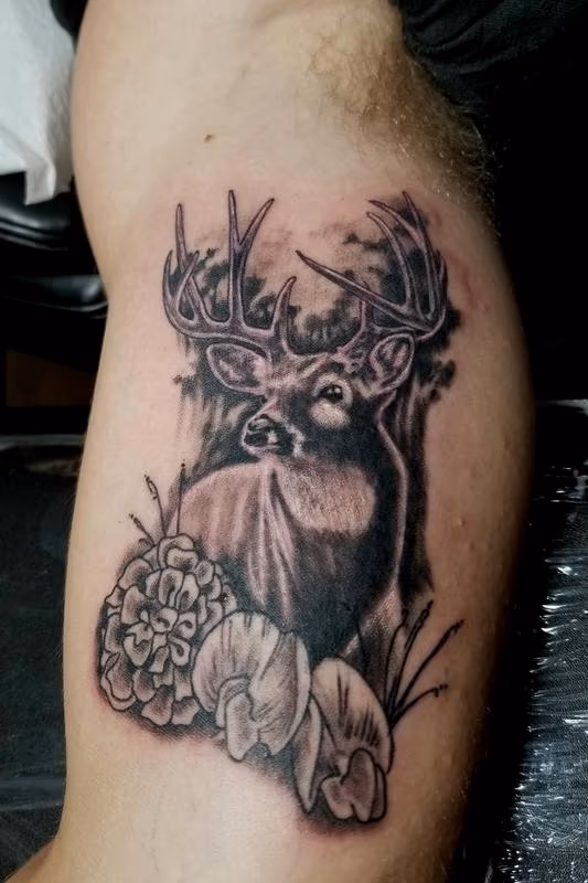 My Deer Family