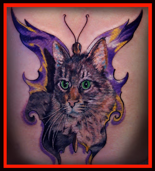 BUTTERFLYINGCAT !