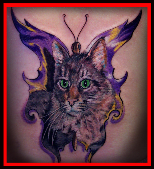 BUTTERFLYINGCAT !