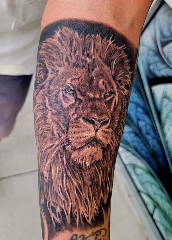 King of the Jungle