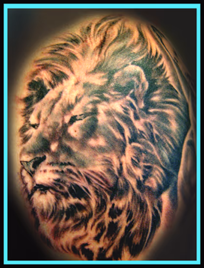LION HEAD !!