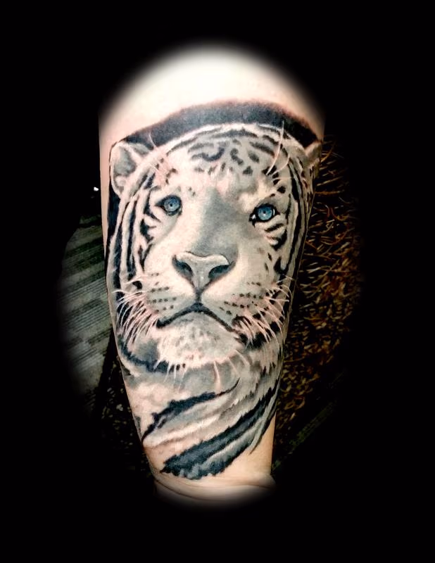 white tiger