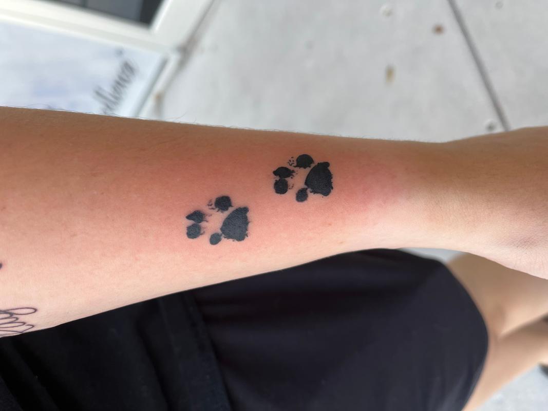 TYGER CUSTOM PAW PRINT