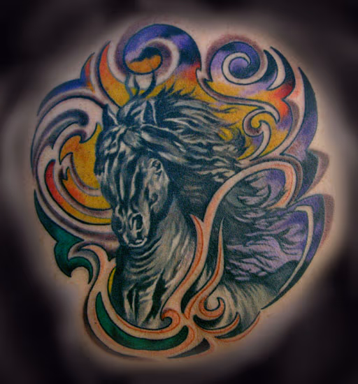 WILD HORSE !