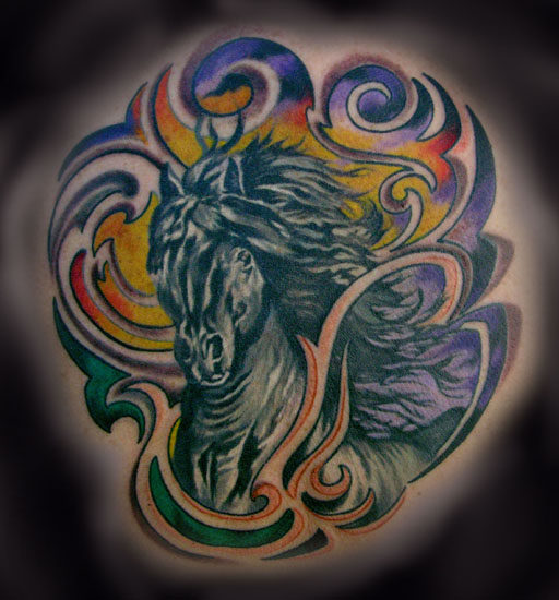 WILD HORSE !