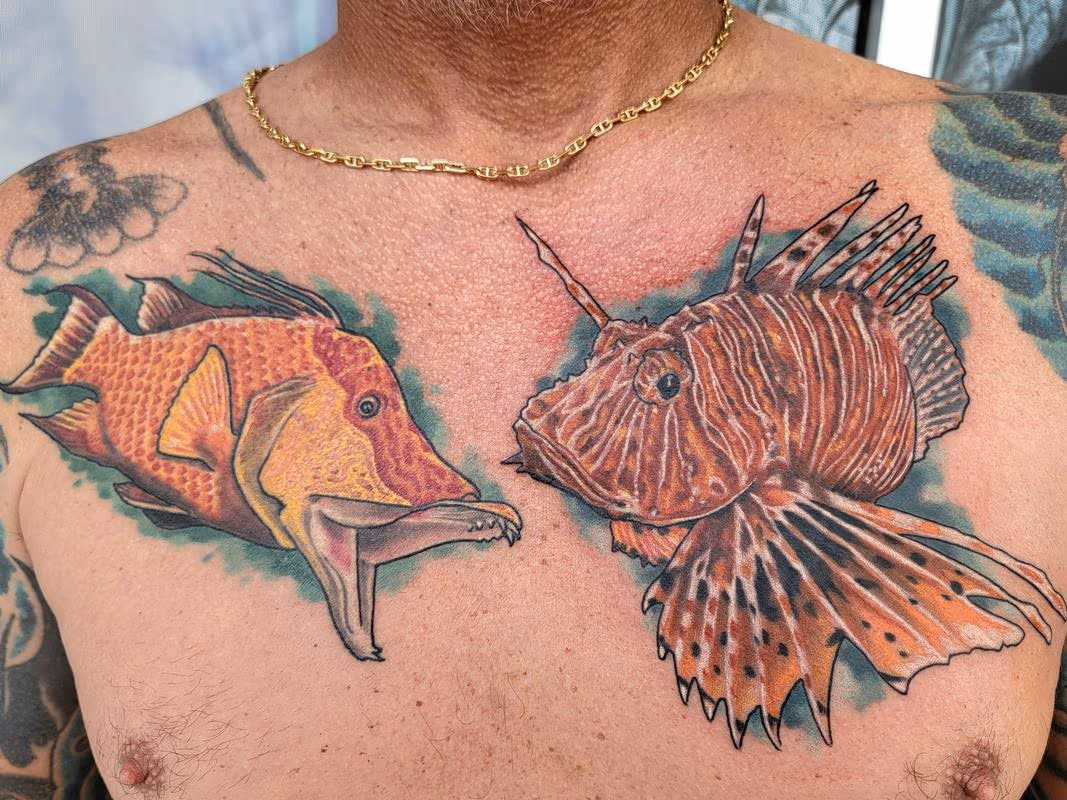 0ne fish, two fish!!