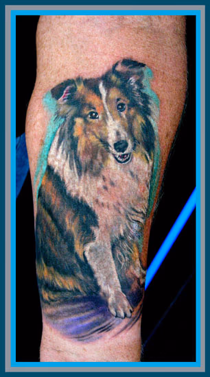 COLLIE FRIEND !!