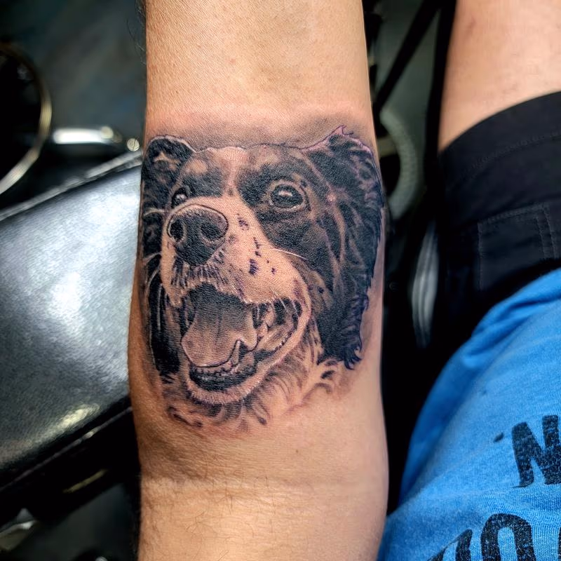 Pooch