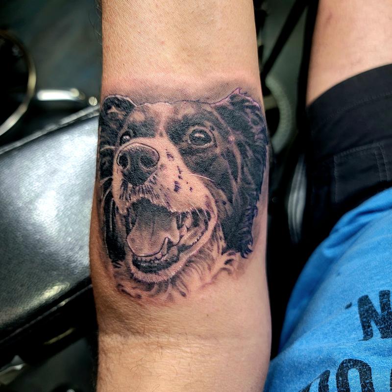 Pooch