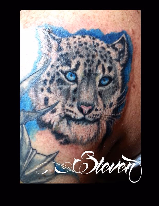 snow leopard