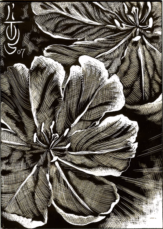 SCRATCHBOARD FLOWER !