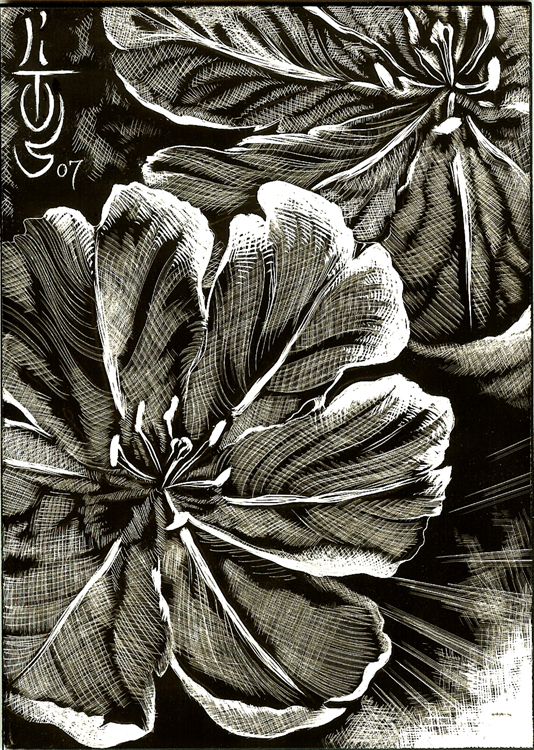 SCRATCHBOARD FLOWER !