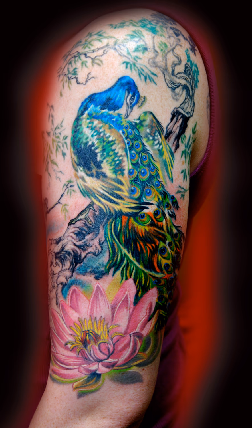 Peacock !
