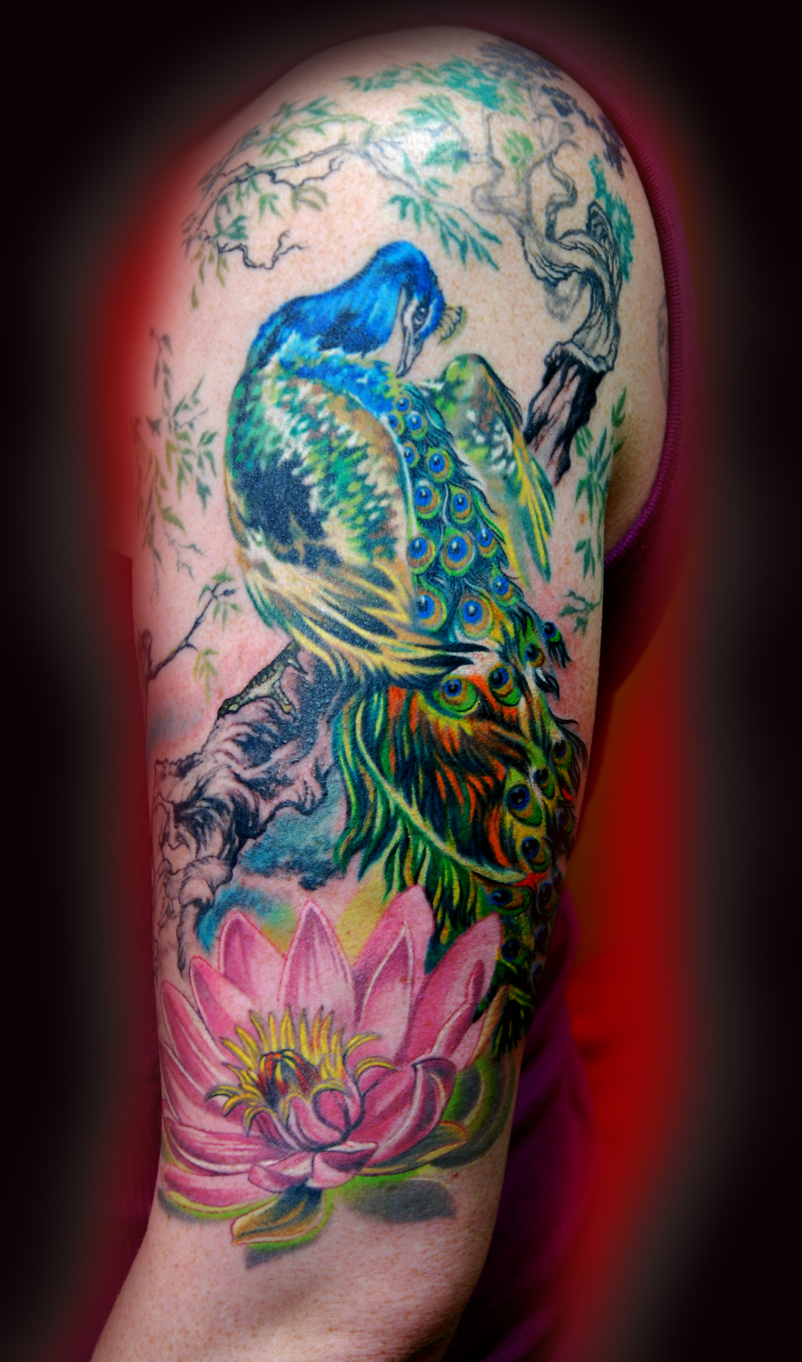 Peacock !