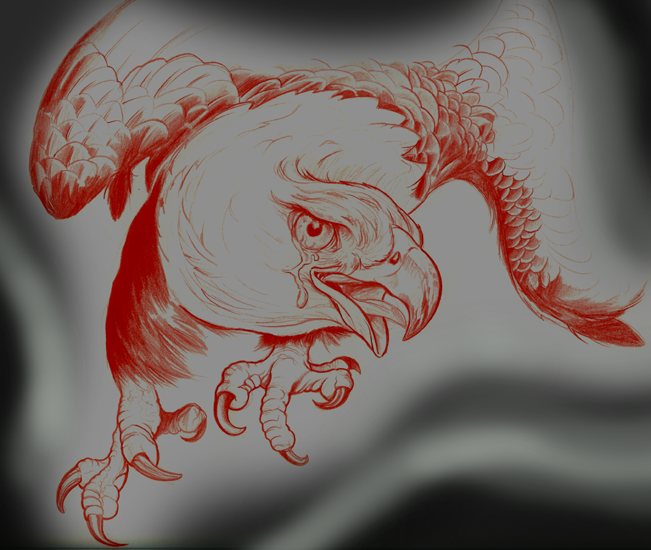 LANDING EAGLE !