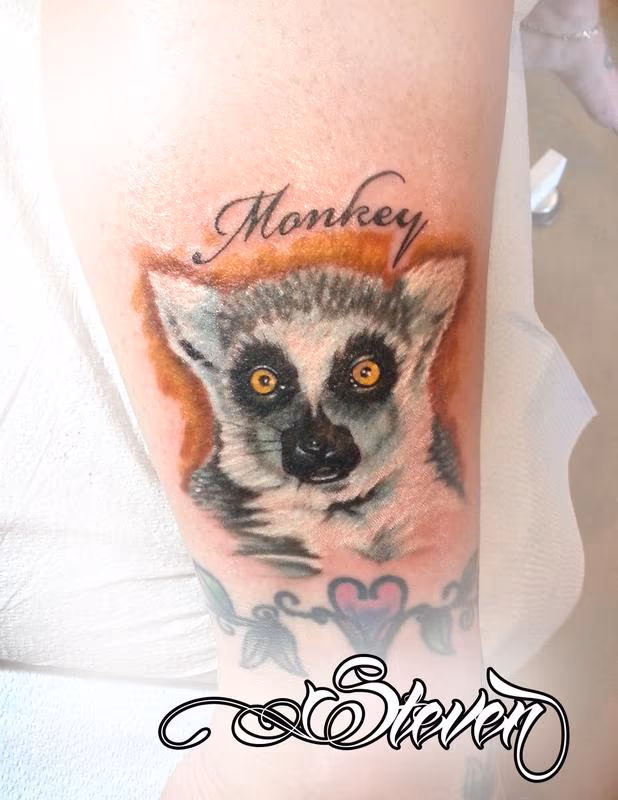 Lemur