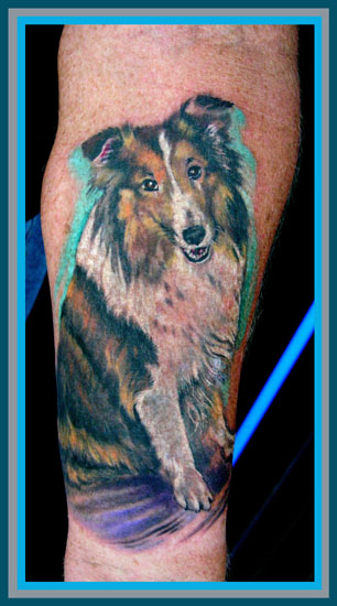 COLLIEDOG !