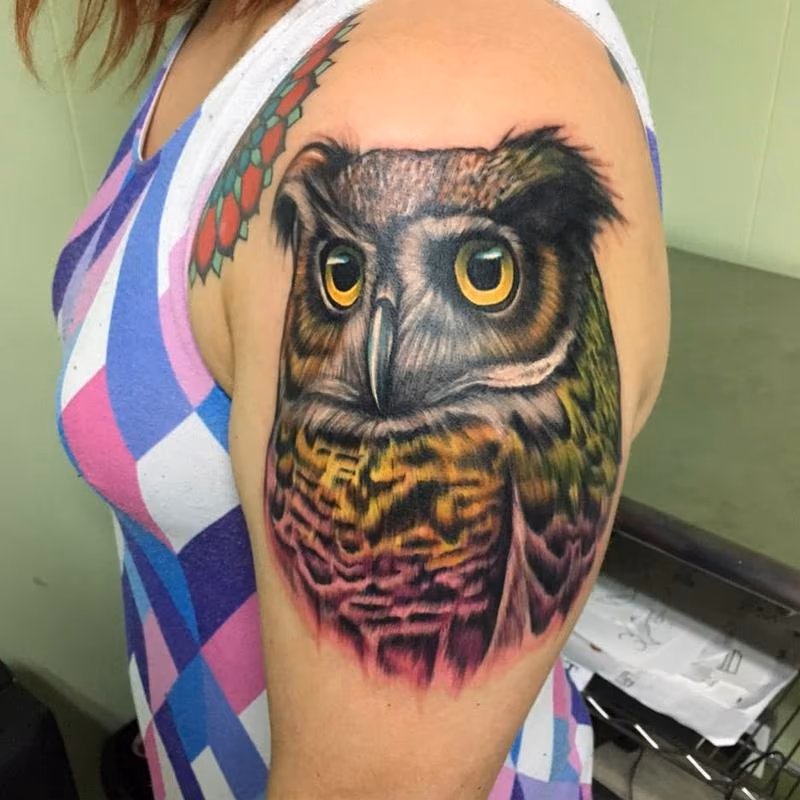 Colorful Owl
