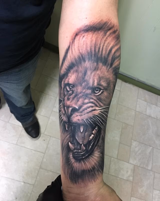 Black and Grey Lion