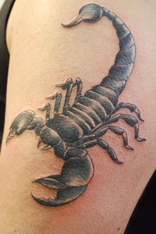 Scorpion Tattoo
